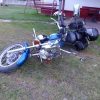 xv 125 250 yamaha virago Gmole gmol