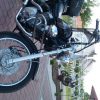 xv 125 250 yamaha virago Gmole gmol